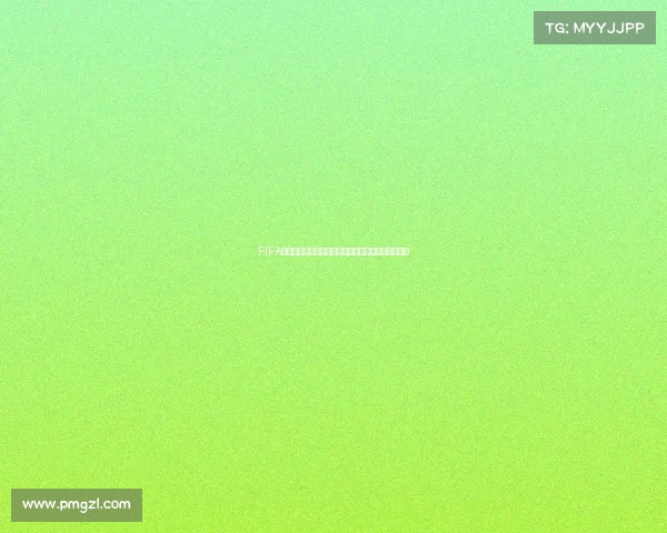FIFA世界杯梅西卡为核心的传奇收藏与赛场荣耀全景解析